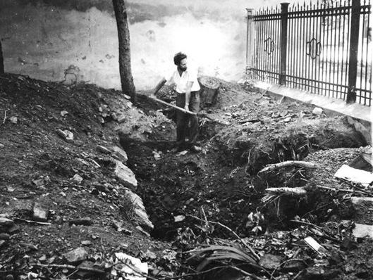 Илл. 10. Археолог Коренцвит В. А. Раскопки Бонова дома на месте поваленного бурей дерева. 1987 г.
