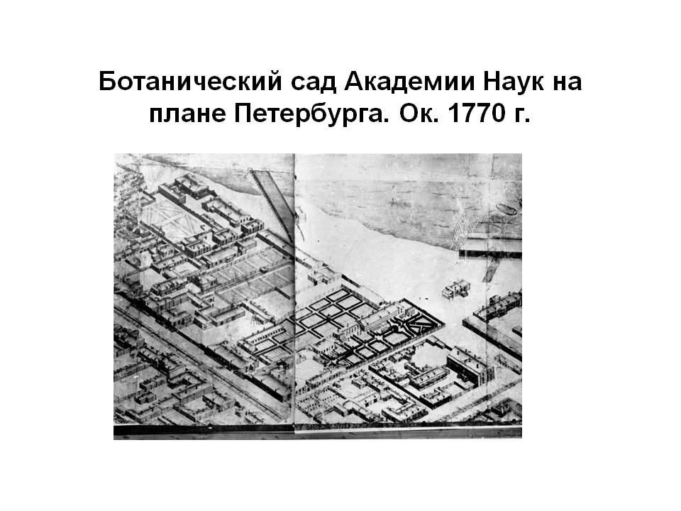 Илл. 2. П. А. Сент-Илер. Аксонометрический план Санкт-Петербурга. Фрагмент. На переднем плане – Ботанический сад Академии наук. Бонов дом, Химическая лаборатория, оранжереи. 1766 г. (?)